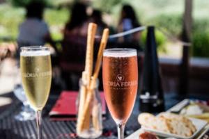 2022年卡塔尔世界杯，速度与激情并存的足球盛宴世界杯速度排名