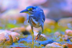 2018年俄罗斯世界杯，比利时队的崛起与荣耀18年世界杯比利时