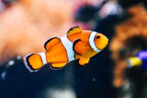 2022年卡塔尔世界杯全部战绩回顾，精彩赛事全记录2022世界杯全部战绩图