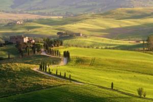 世界杯有假球吗？世界杯有假球吗